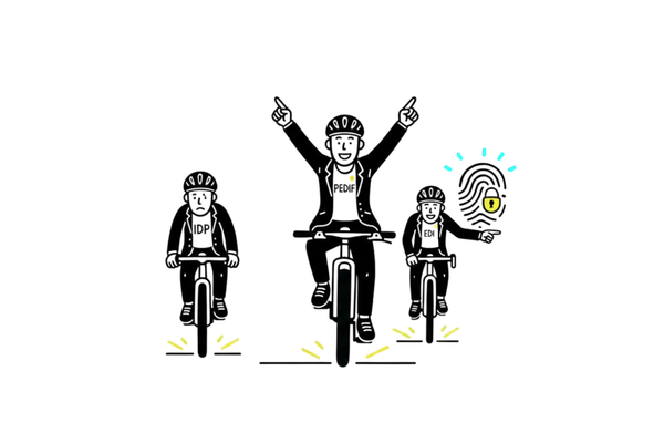 EDI, IDP oder PEDIF: Welches ist das richtige für Ihre Branche?